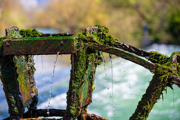 Water flowing through the French Village of Isle Sur la Sorgue France during springtime