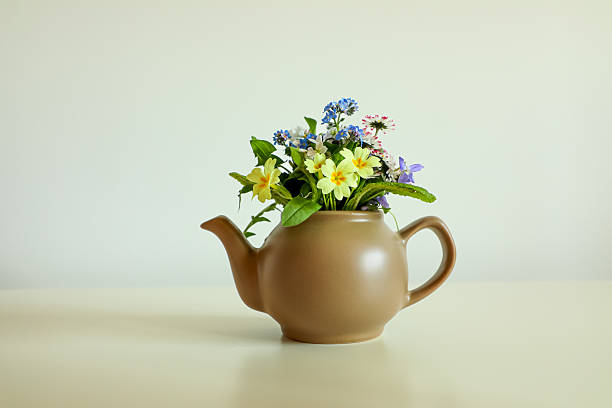 Beautiful still life with spring wild flowers on a white background