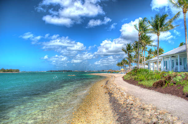 Palm trees on a caribbean island in front of clear blue water