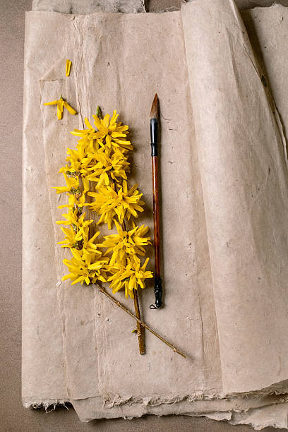 istock Yellow Forsythia Flowers With Paintbrush 2208685564