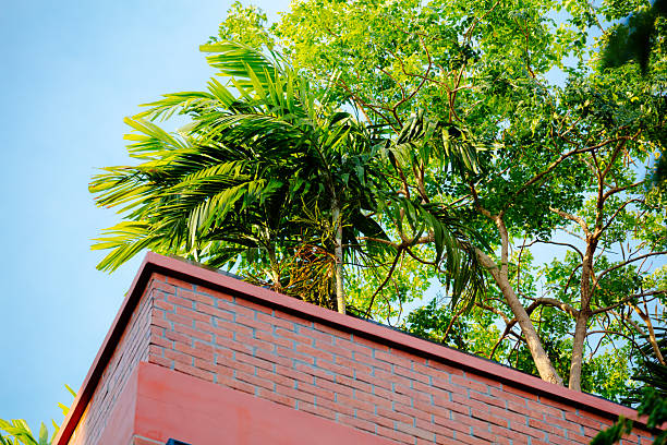 Rooftop garden of small multi apartment block in Bangkok Ladprao - Chatuchak