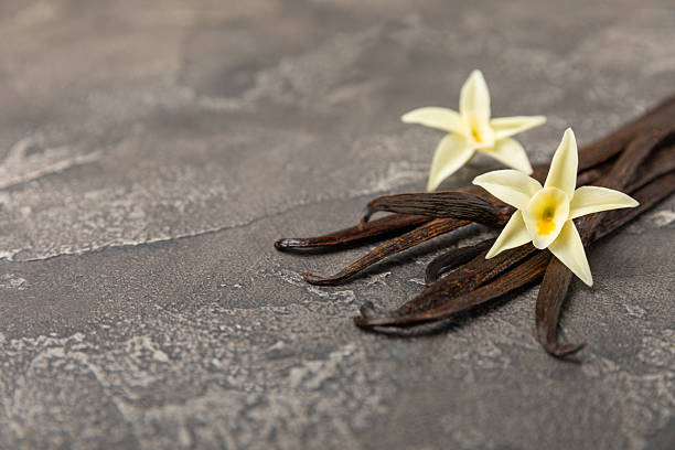 istock Vanilla pods on a textured background. Vanilla flowers and seeds. vanilla stick bean. Aromatic spicy spice for pastries and desserts. Seasoning. Space for text. Copy Space 2208694228