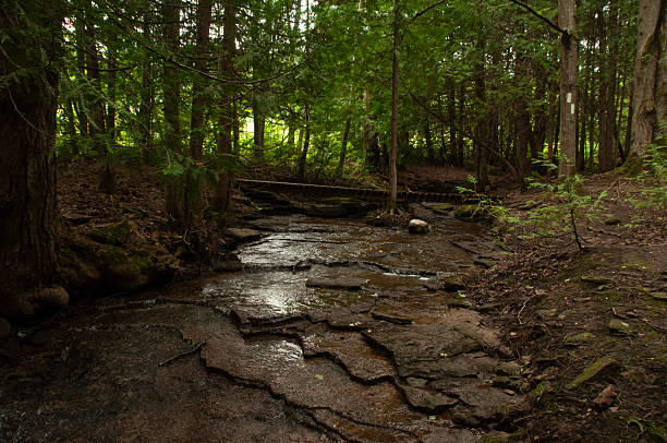 istock A Wooden Bridge Goes Over a Rocky Stream Through the Woods 2208696031