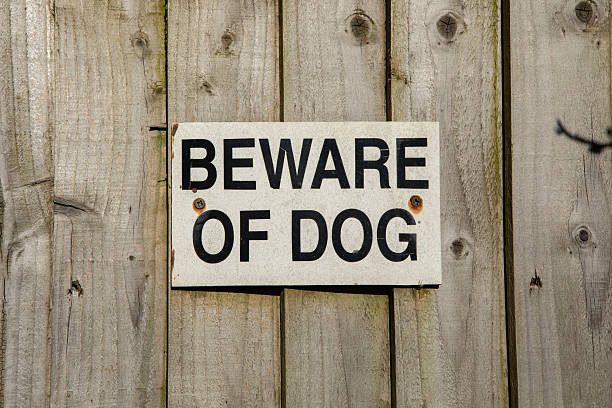 istock Beware of the dog 2208697189