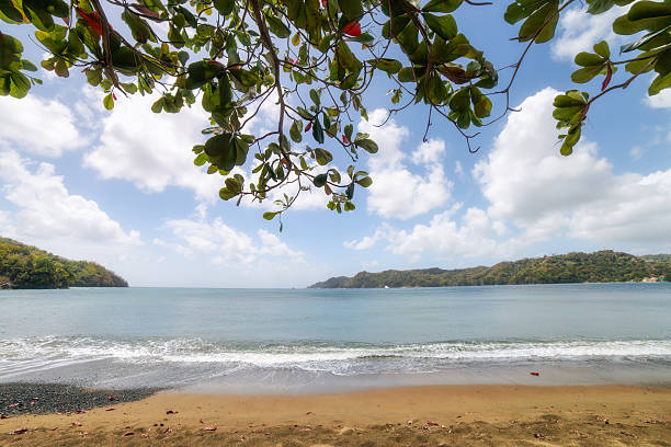 istock Sandy beach bay on Tobago island, Caribbean sea. Copy space. 2208698786
