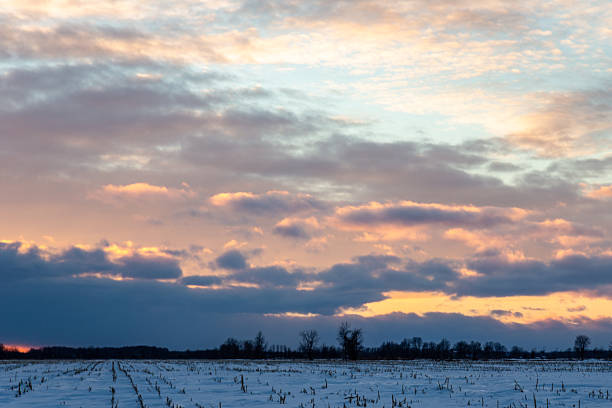 istock Scenic Winter Sunrise Over a Snow-Covered Field With Gentle Clouds 2208701524