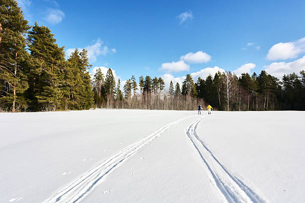 Two people ski over snowy expanse, moving away from viewer and leaving parallel tracks, enjoying crisp winter day beneath expansive sky, trees beyond.