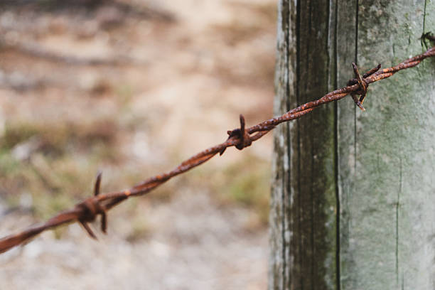 rusty barbed wire fence in field