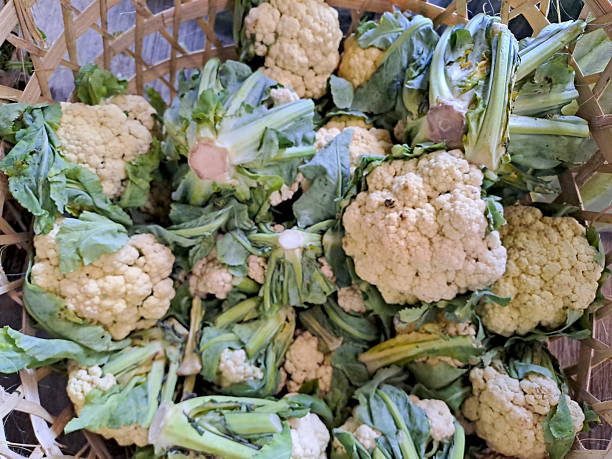 istock Fresh cauliflower in market 2208722866