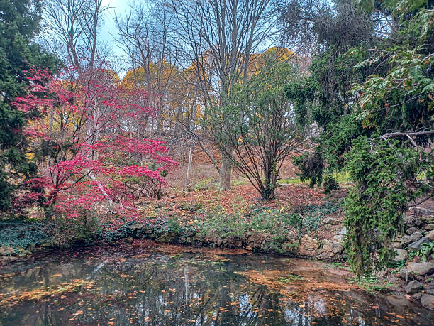 istock James Gardens park in Toronto 2208735850