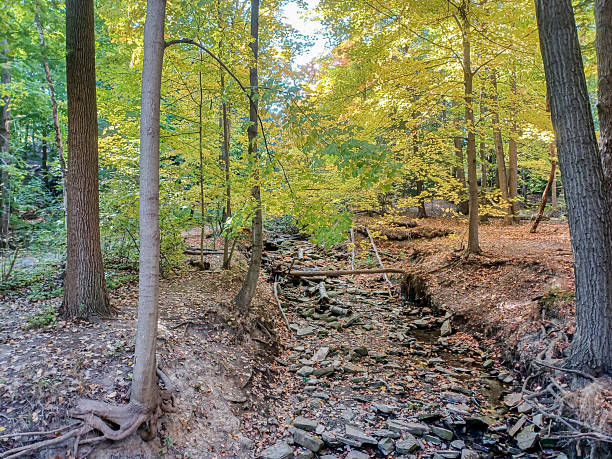 James Gardens park in Toronto