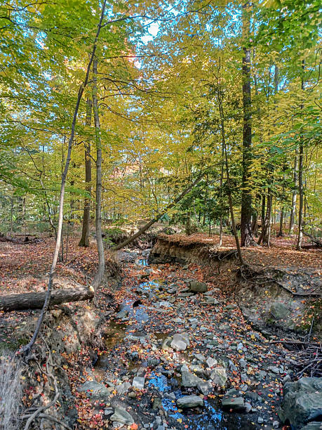 istock James Gardens park in Toronto 2208735866