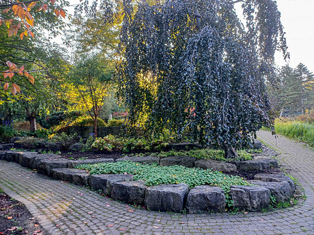 istock James Gardens park in Toronto 2208735871