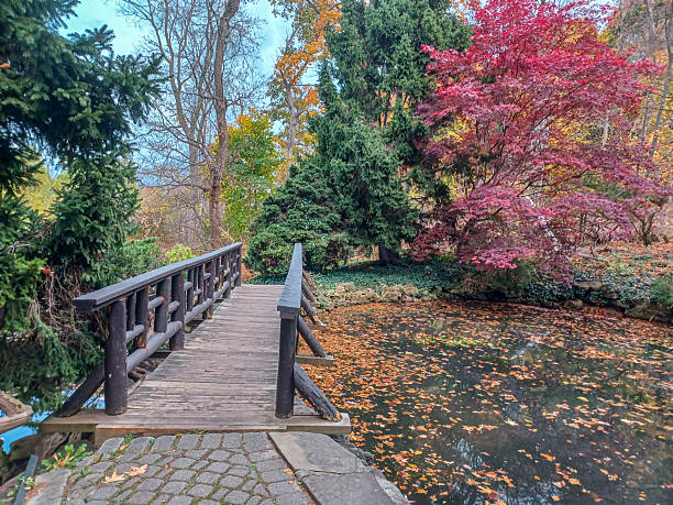 A wooden footbridge crosses over a calm pond as visitors walk through a lush green garden under the summer sun.