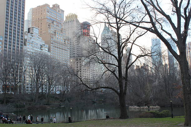 Central Park New York, Taken December 30, 2011. View from the central park south - you can see the line of building on the south side of the park. Also the pond within the park on the south side. time warner center columbus circle pictures stock pictures, royalty-free photos & images
