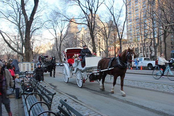 View across central park in the centre of New York, America.  A horse drawn carriage can be seen and people can be seen on the promenade