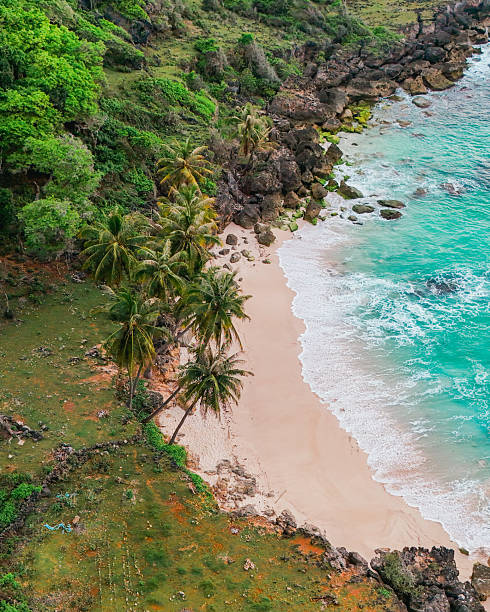 istock Coconut palm trees along a white sand beach with turquoise sea, viewed from above. 2208750095