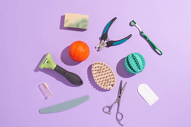 istock Pet care, hygiene and grooming tools on a pastel purple background 2208750145