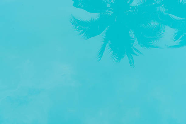 istock Water in a swimming pool with reflections of palm trees 2208754247