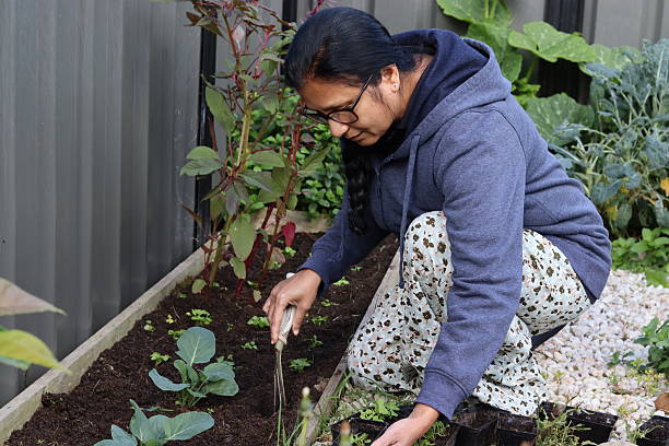 istock Outdoor Hobby- Gardening. 2208763950