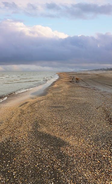 Цены на отдых на Каспийском море