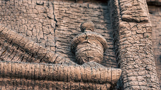 old vintage wood decor close up background