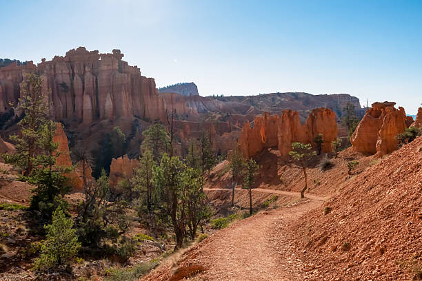 istock Bryce Canyon - Scenic Navajo Loop hiking trail along conifer pine forest with unique views on sandstone rock formations in Bryce Canyon 2208777629