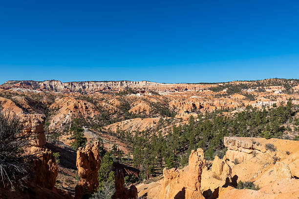 istock Bryce Canyon - Conifers Forest of pine trees with panoramic on sandstone rock formations on Navajo Rim hiking trail in Bryce Canyon 2208777792
