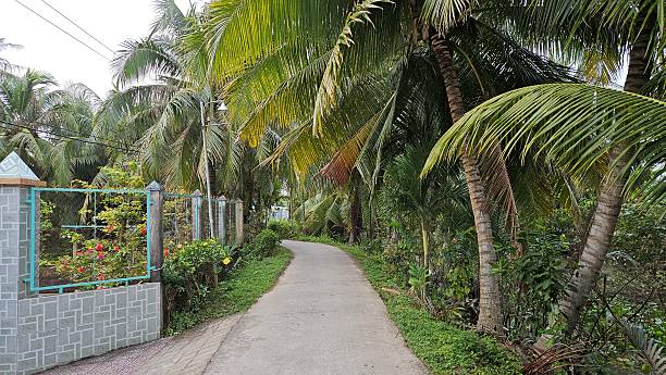 istock A rural concrete path stretches through a lush, tropical area with various trees, including palm trees, under an overcast sky in Mekong Delta Vietnam. 2208784039