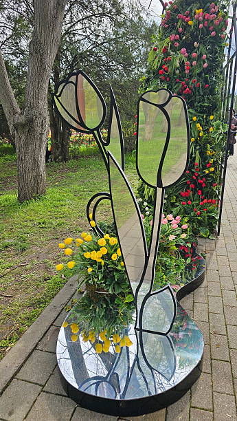 istock Colorful tulips in flowerbed 2208785489