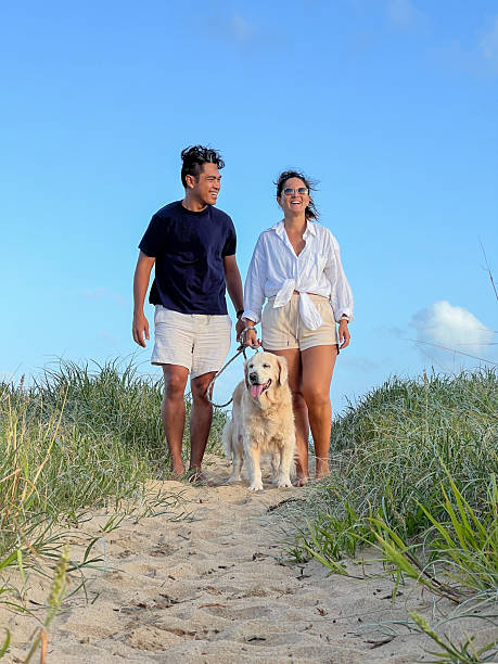 istock Couple Walking Dog on Sandy Beach Path 2208786225