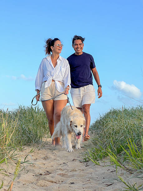 istock Couple Walking Dog on Sandy Beach Path 2208786232