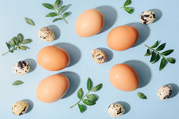 Brown and quail eggs with green leaves on blue background in sunlight. Easter concept. Top view, flat lay