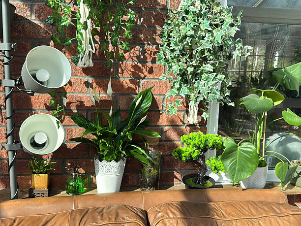 istock Image of modern sofa settee, leather upholstery, wooden console table, house plants / artificial greens, stylish lighting, interior design 2208789420