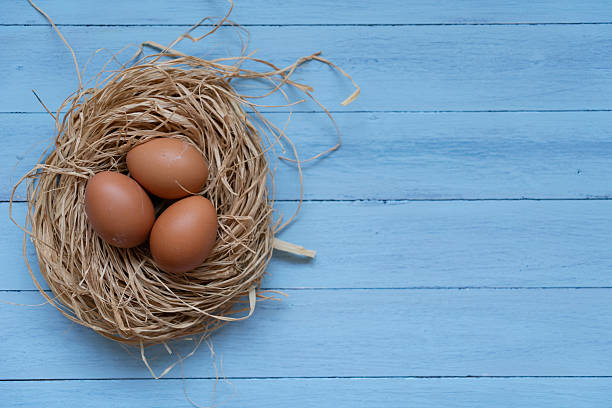 Fresh chicken eggs in the nest on a wooden background