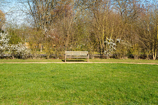 A bench is sitting in a grassy field. The bench is empty. The grass is green and the sky is blue