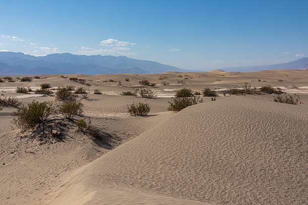 istock Death Valley - Panoramic view on Mesquite Flat Sand Dunes in Death Valley National Park, California, USA. 2208791337