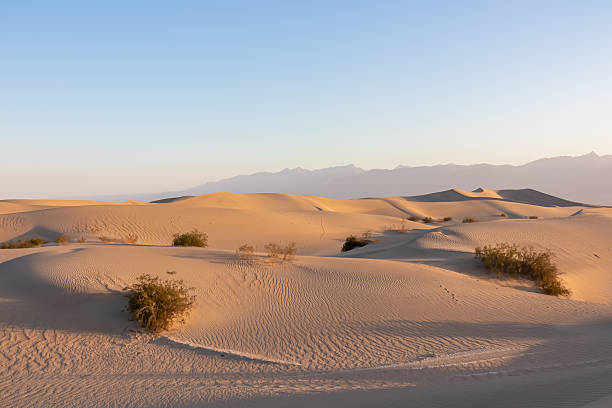 istock Death Valley - Panoramic view on natural pattern in sand during sunrise at Mesquite Flat Sand Dunes, Death Valley National Park, USA 2208791488
