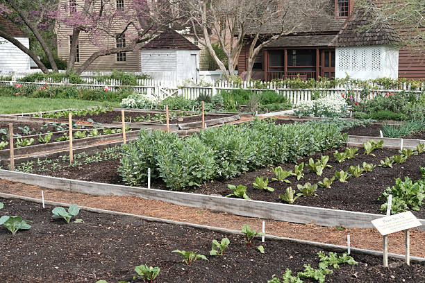 istock Agriculture garden 2208794289