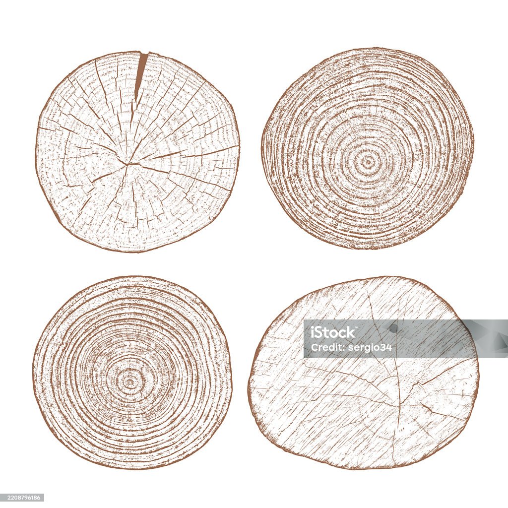 Tree Rings Cut Art Wood Texture Cross Section Of Tree Rings Stock Illustration - Download ...