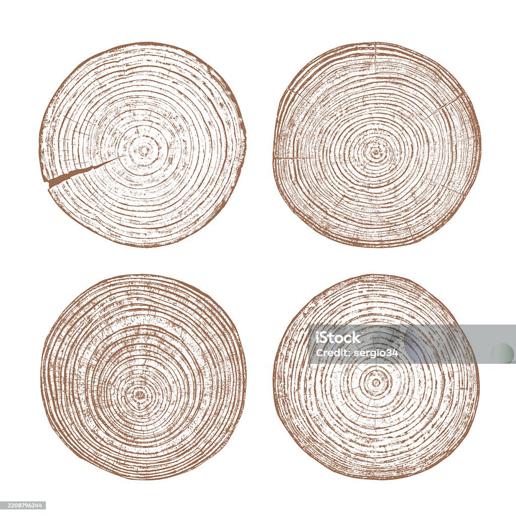 Tree Rings Cut Art Wood Texture Cross Section Of Tree Rings Stock Illustration - Download ...