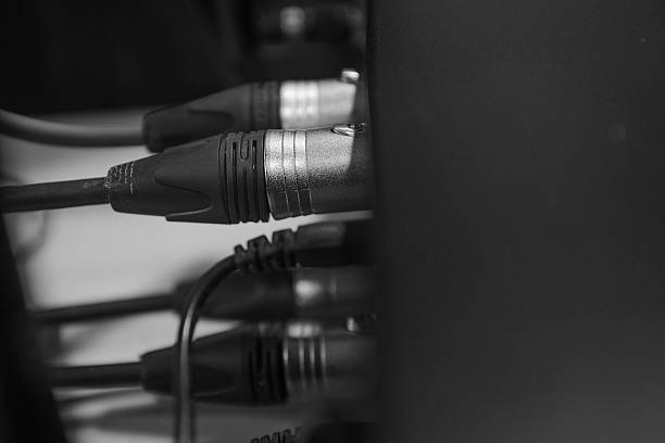 XLR cables that transmit audio signals to conference rooms