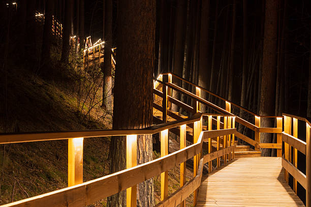 Long wooden staircase with golden lighting among pine trees in the coniferous forest in Krasnoyarsk, Russia. Night landscape
