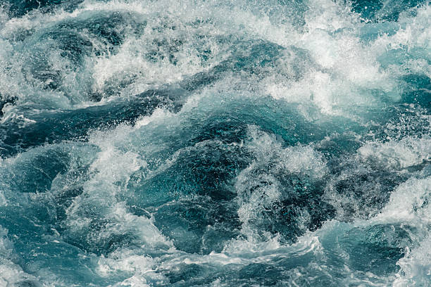 istock The Power of the Deep 2208814414