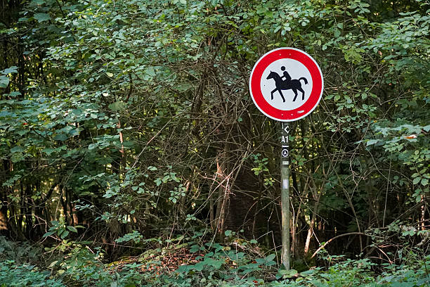 Red horse riding sign in a green leaf tree forest in North Rhine-Westphalia, Germany
