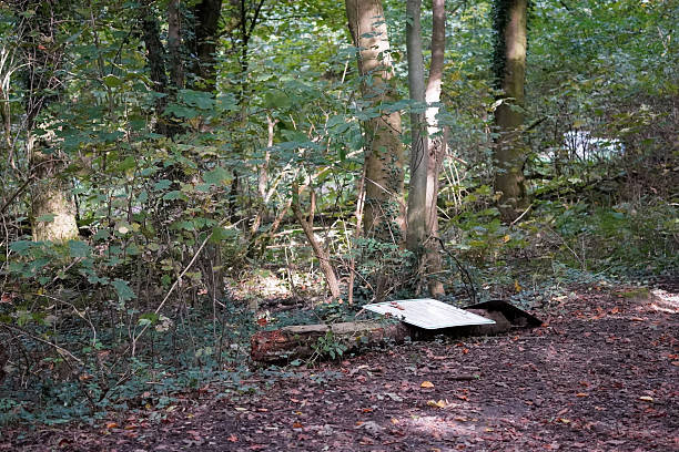 istock Broken sign laying on the ground 2208823303