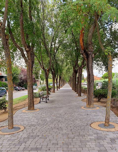 istock Green Neighborhood 2208828623