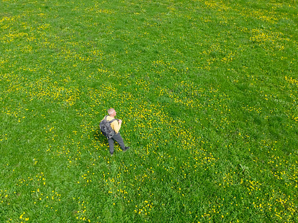 Adult man with backpack relaxing walk on springtime green grass meadow in countryside