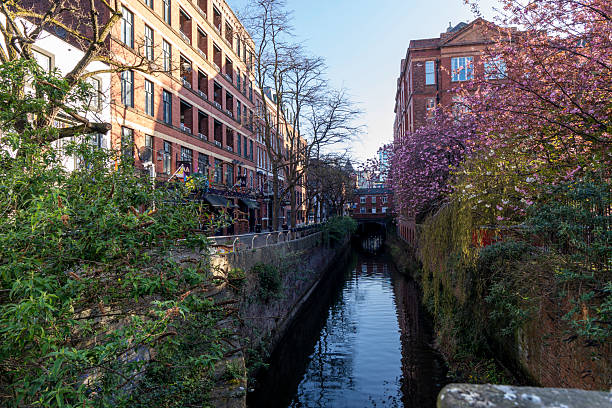 Image of Sakville Gardens in Manchester at sunrise showcasing the blossom of early spring.