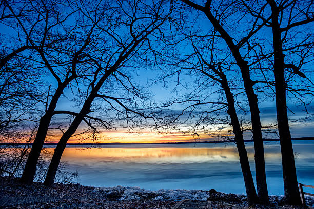West Pine Drive Road end. Blue hour with the trees framing the view.
